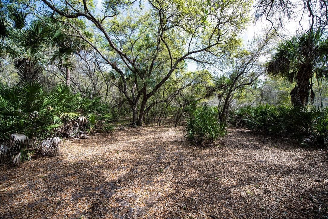 392 MANLY STREET — photo 1 of 13