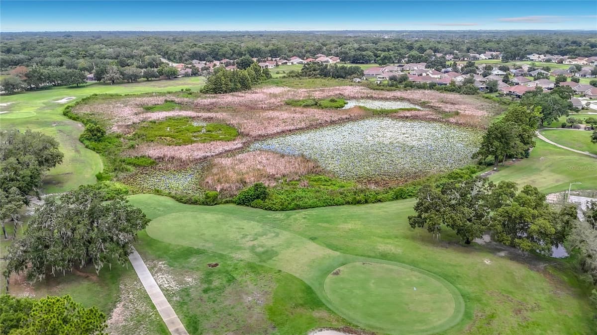 13540 PLANTATION LAKE CIRCLE — photo 59 of 61