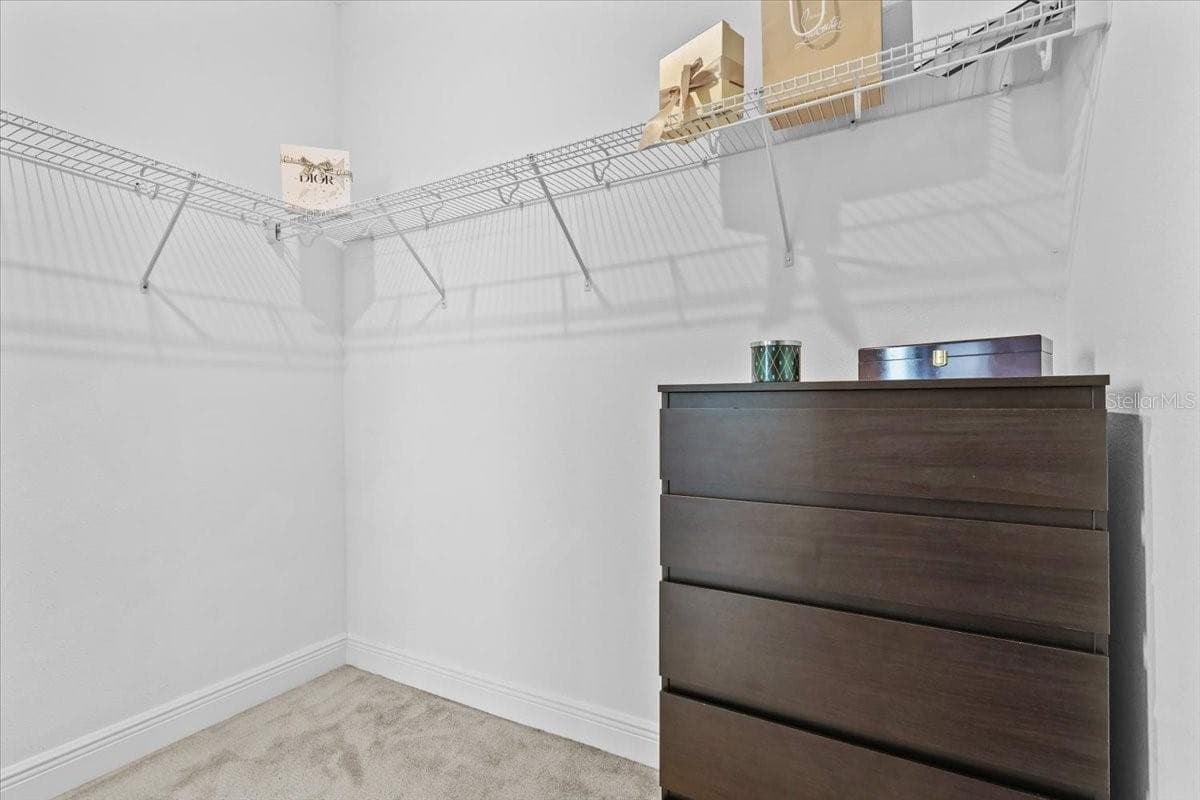 9953 SUMMERLAKE GROVES STREET — photo 46 of 84