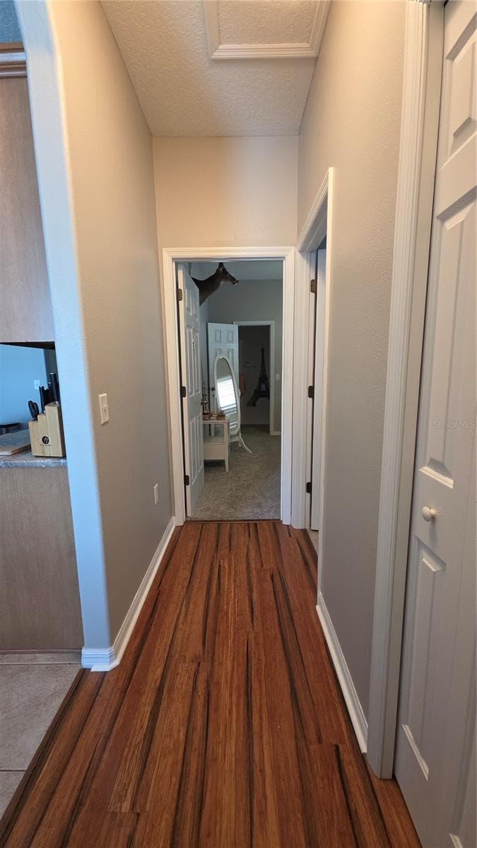 36812 QUEEN BEE LANE — photo 42 of 55