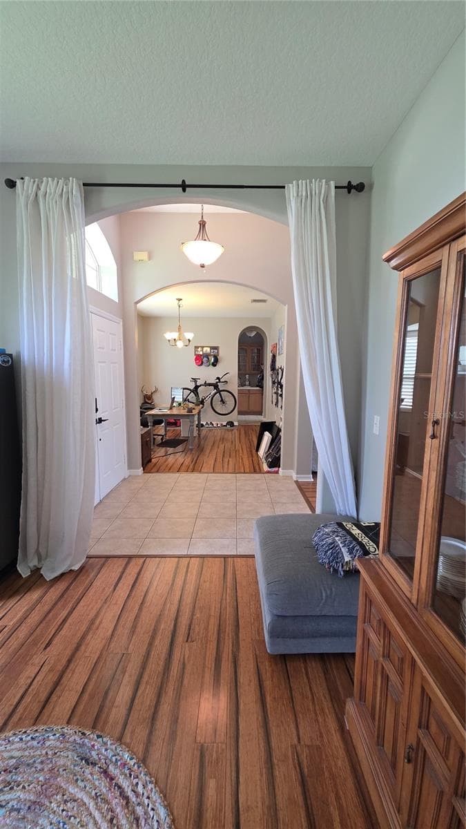 36812 QUEEN BEE LANE — photo 31 of 55