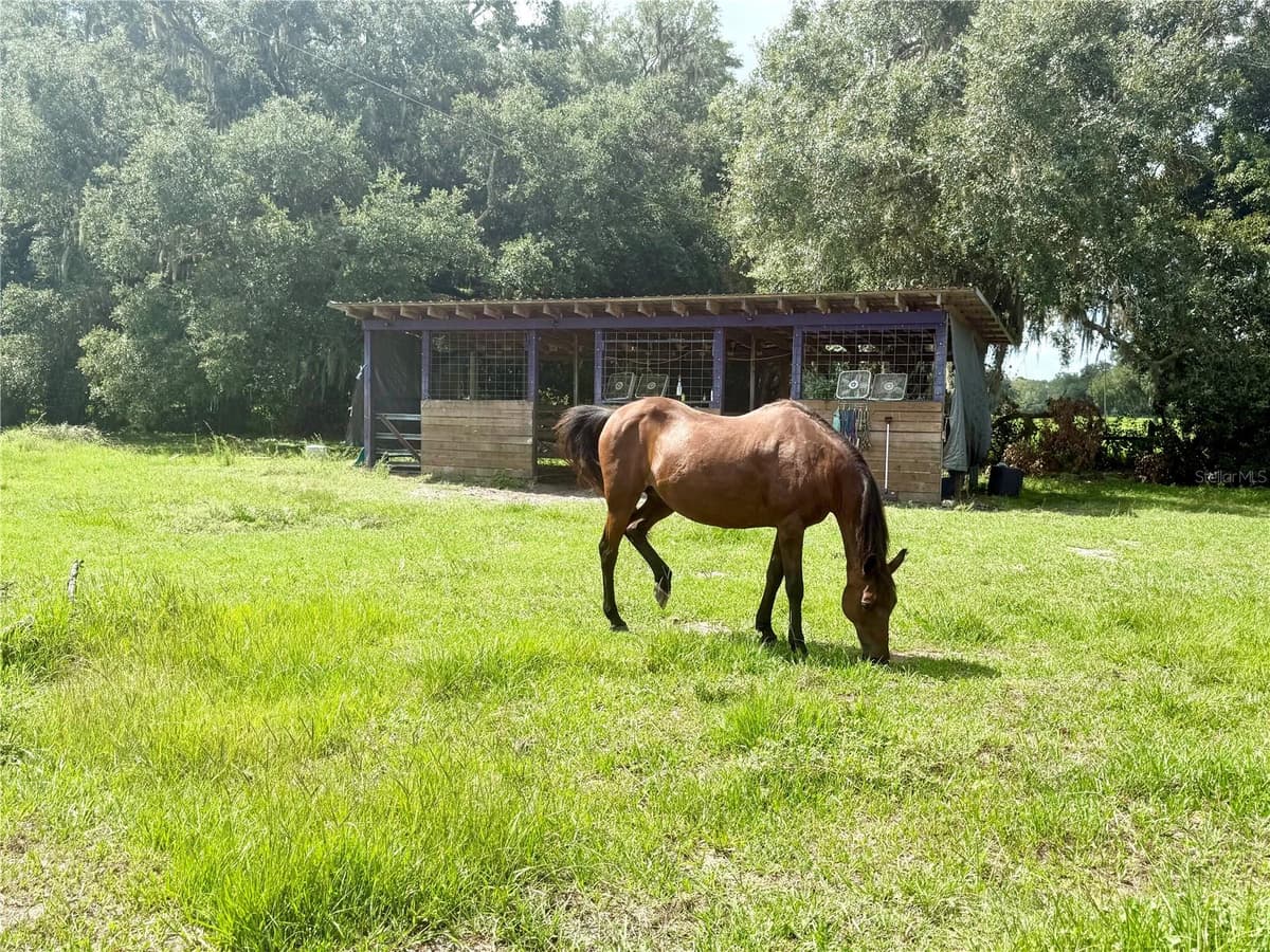7589 CR 763 — photo 44 of 67
