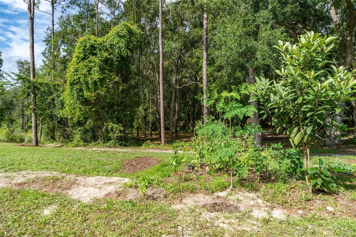 40 DEER TRAIL CIRCLE — photo 25 of 25