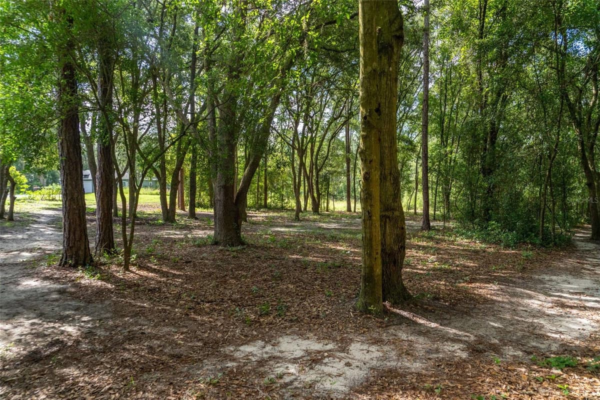 40 DEER TRAIL CIRCLE — photo 6 of 25