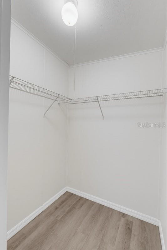 2516 MOBILAIRE DRIVE — photo 24 of 58
