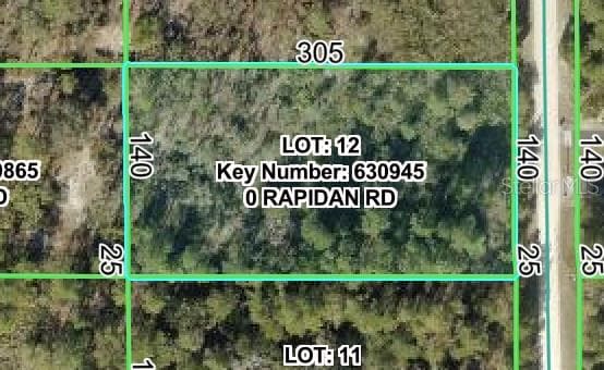 18063 RAPIDAN ROAD — photo 4 of 5