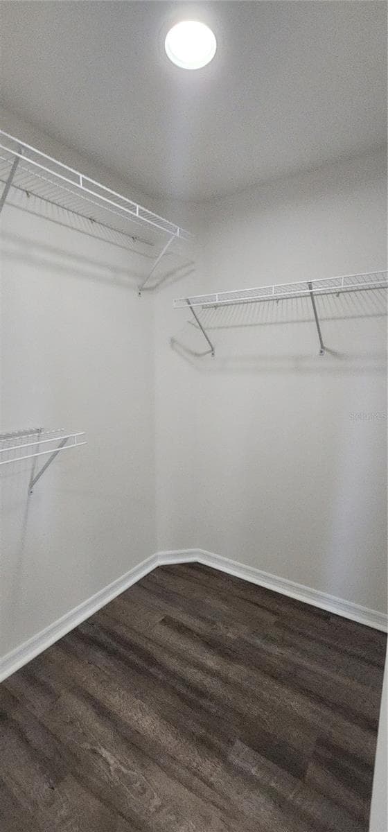 960 STARKEY ROAD — photo 14 of 17