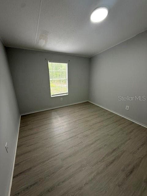 10405 JUNGLE STREET — photo 22 of 26