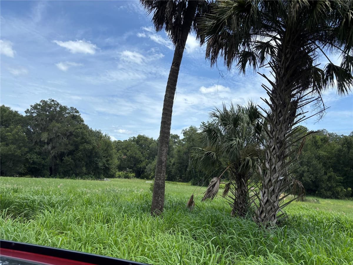 23 — photo 2 of 7