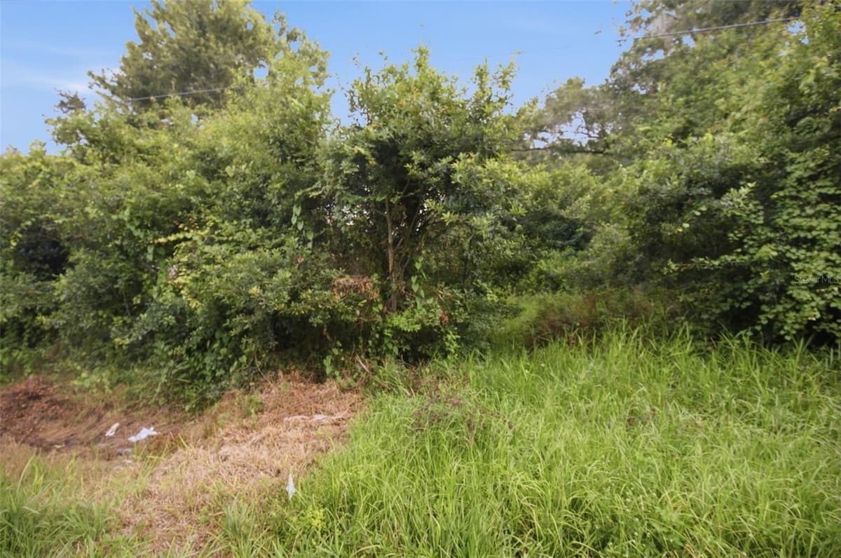 0 OLD DADE CITY ROAD — photo 15 of 29