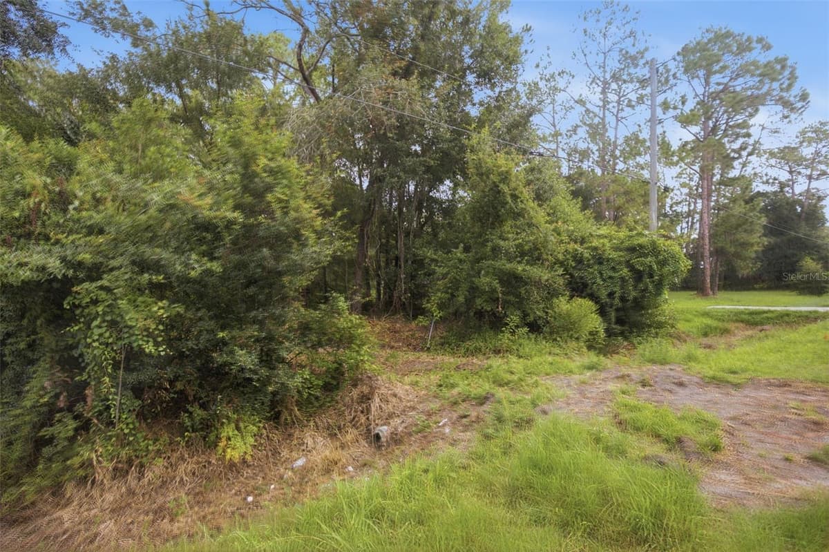 0 OLD DADE CITY ROAD — photo 18 of 29