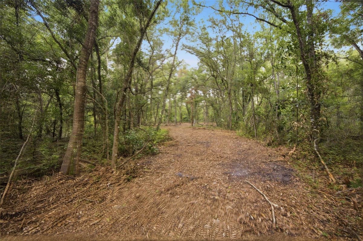 0 OLD DADE CITY ROAD — photo 21 of 29