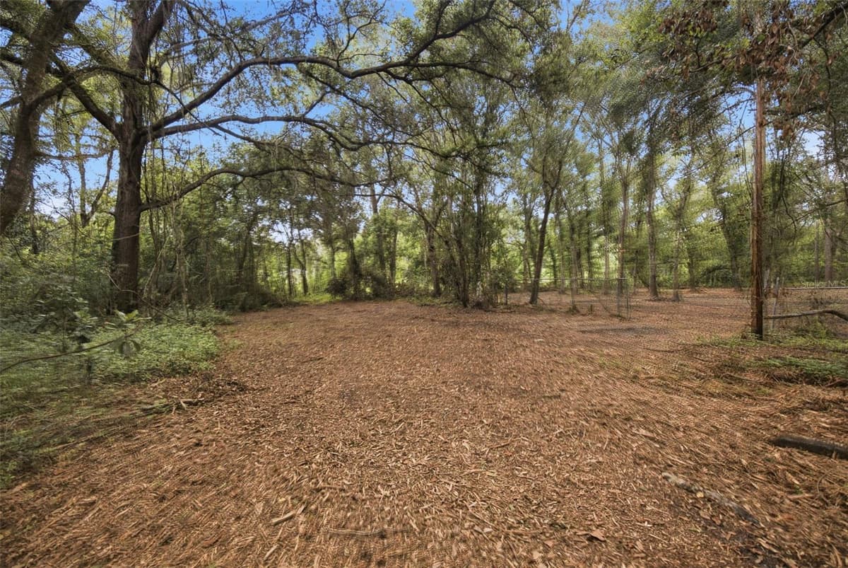 0 OLD DADE CITY ROAD — photo 9 of 29