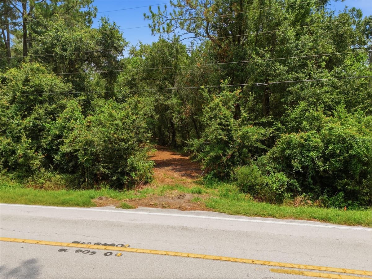 0 OLD DADE CITY ROAD — photo 28 of 29
