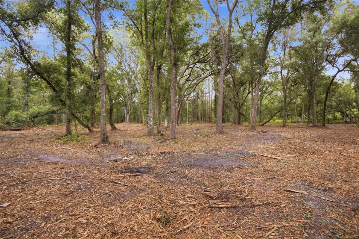 0 OLD DADE CITY ROAD — photo 11 of 29