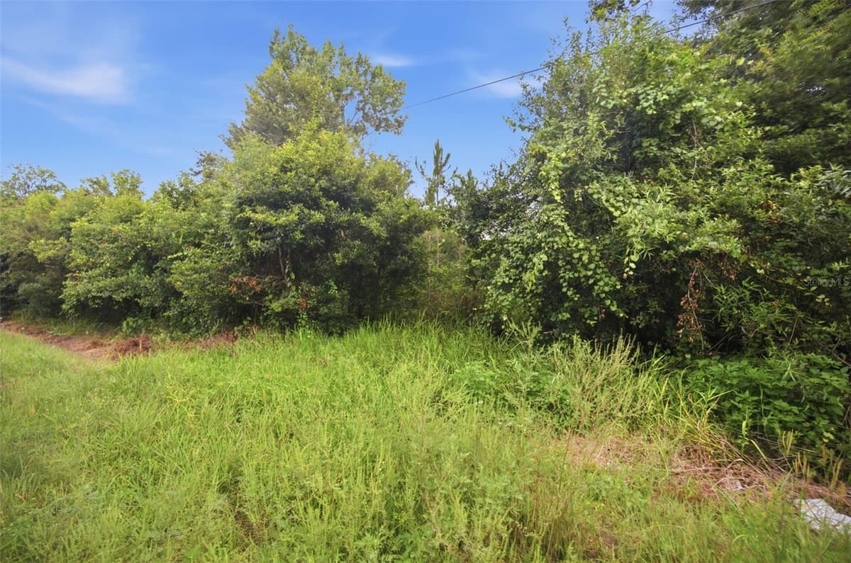 0 OLD DADE CITY ROAD — photo 17 of 29