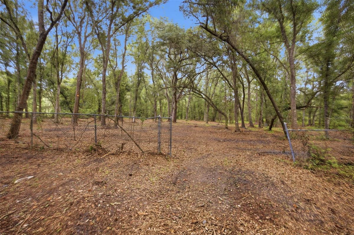 0 OLD DADE CITY ROAD — photo 24 of 29