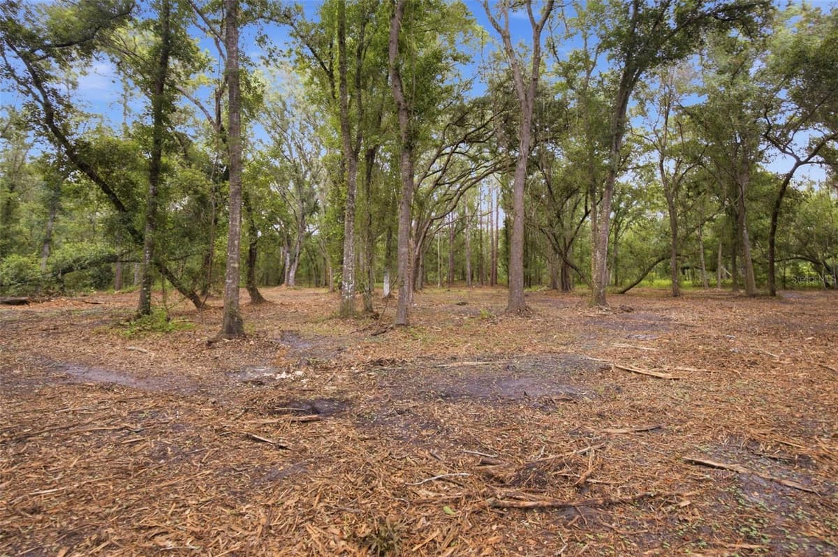 0 OLD DADE CITY ROAD — photo 25 of 29