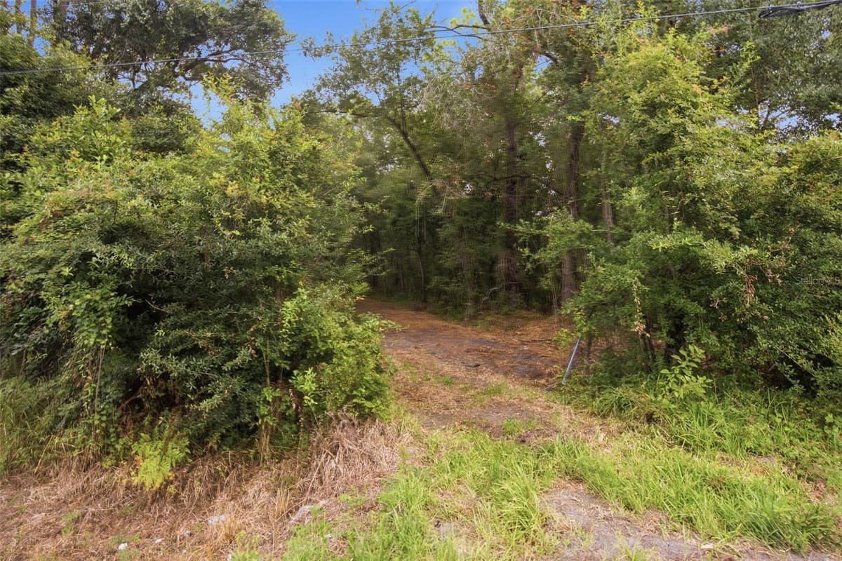 0 OLD DADE CITY ROAD — photo 19 of 29