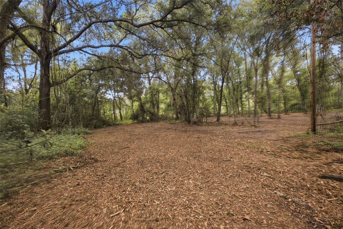 0 OLD DADE CITY ROAD — photo 23 of 29