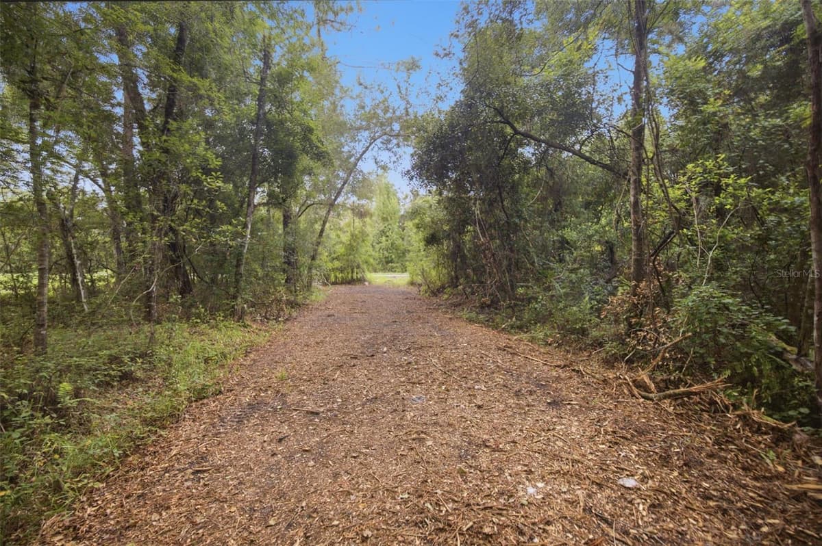 0 OLD DADE CITY ROAD — photo 22 of 29