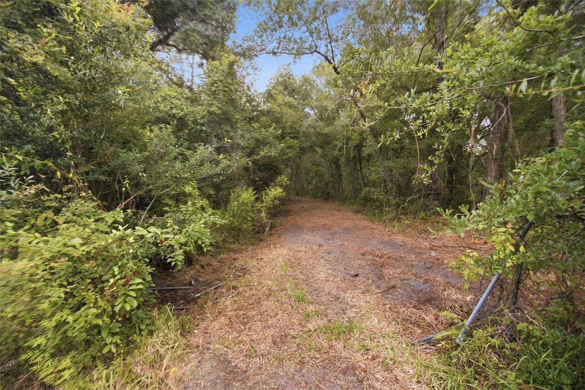 0 OLD DADE CITY ROAD — photo 20 of 29