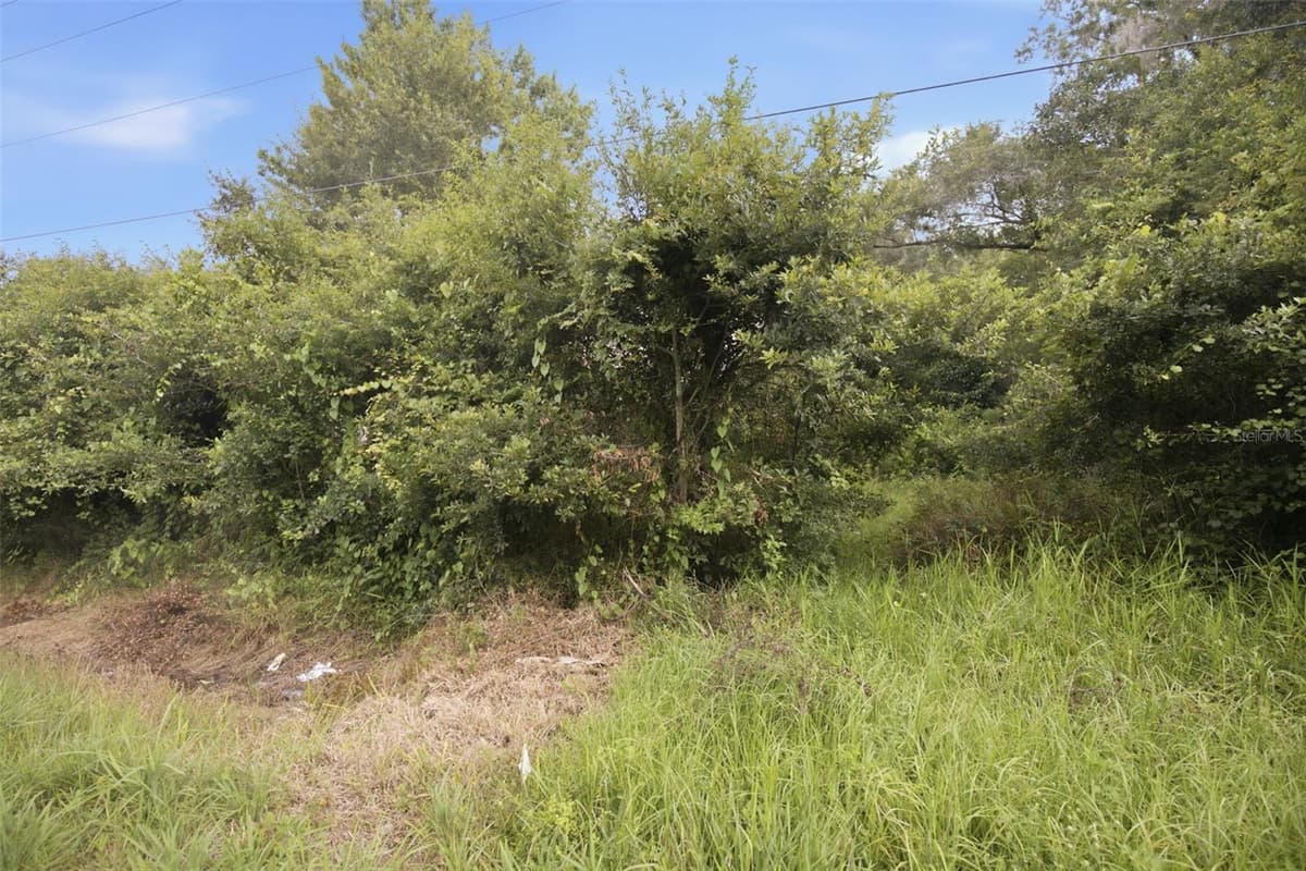 0 OLD DADE CITY ROAD — photo 12 of 29