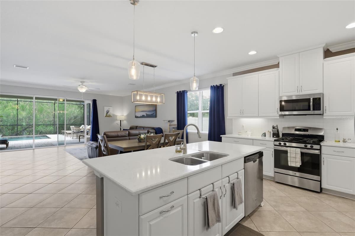27035 CAROLINA ASTER DRIVE — photo 10 of 36