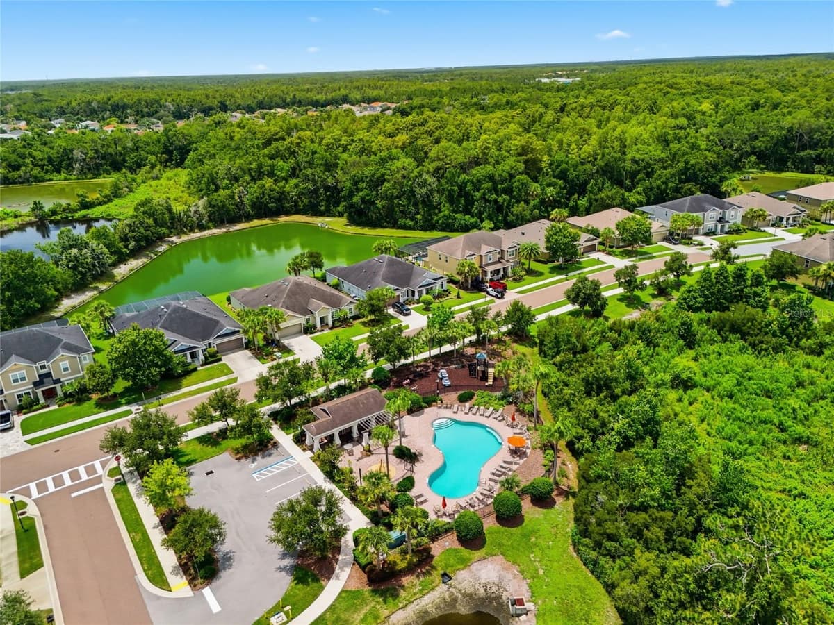 27035 CAROLINA ASTER DRIVE — photo 34 of 36