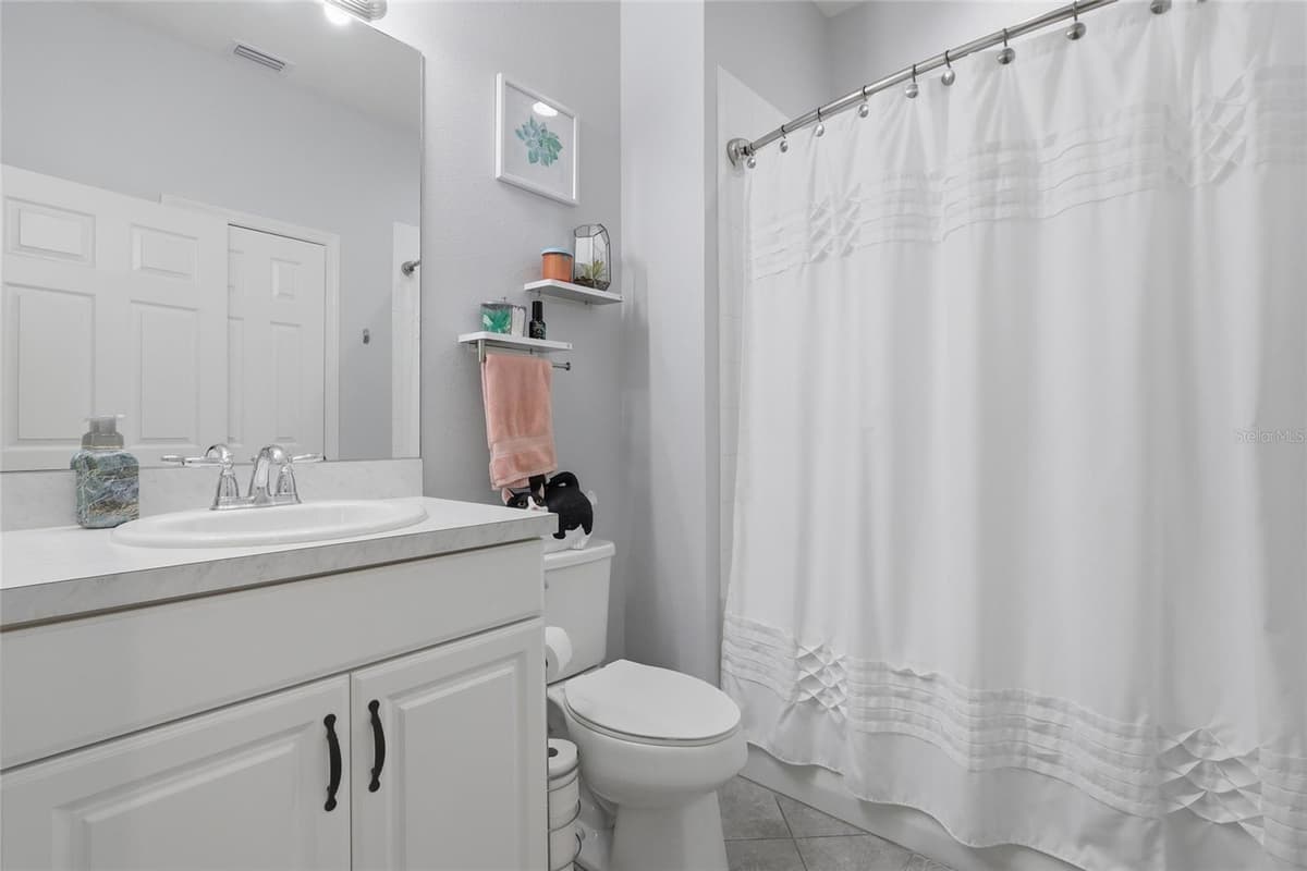 27035 CAROLINA ASTER DRIVE — photo 26 of 36