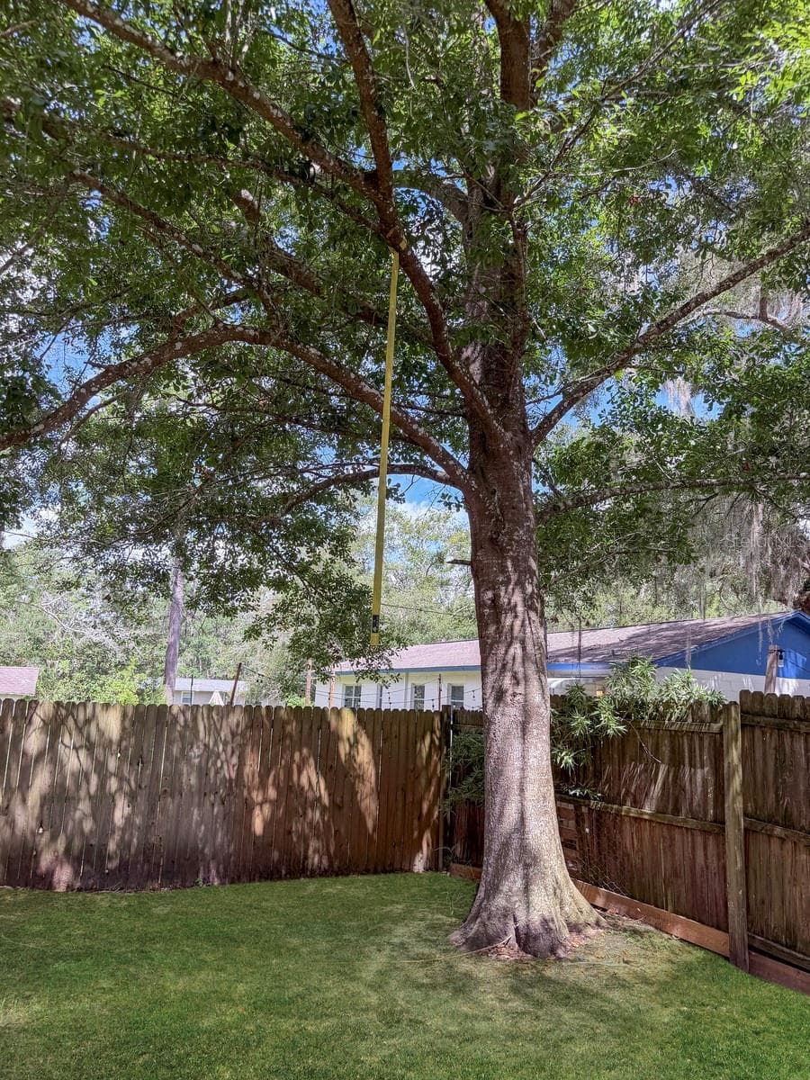470 FOREST AVENUE — photo 21 of 32
