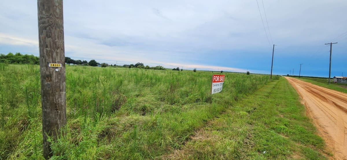 WEITA ROAD — photo 4 of 6