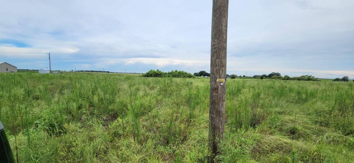 WEITA ROAD — photo 3 of 6