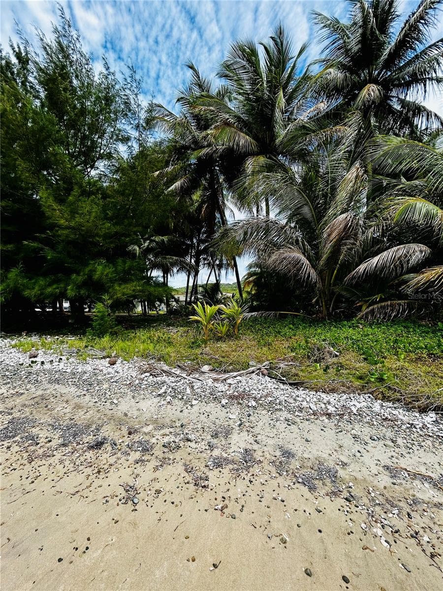 KM 115.8 PR-3 GUARDARRAYAS — photo 15 of 75