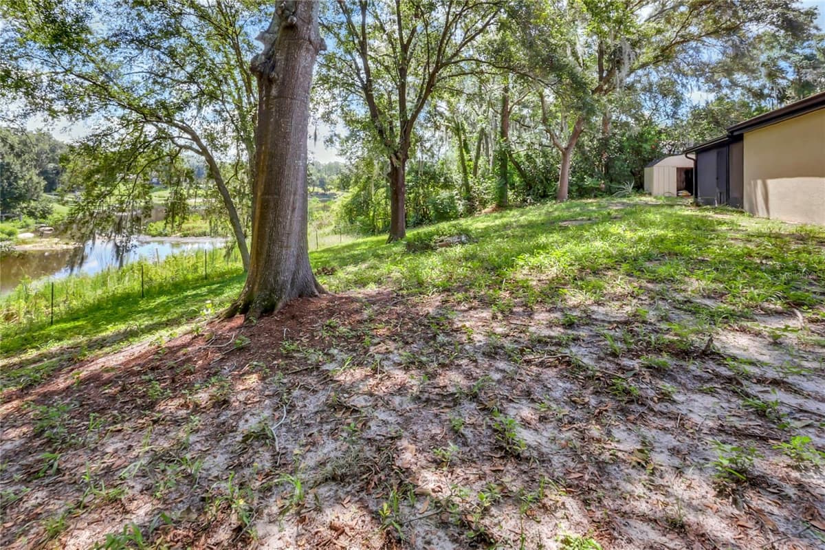 16123 LAKE BURRELL DRIVE — photo 49 of 53