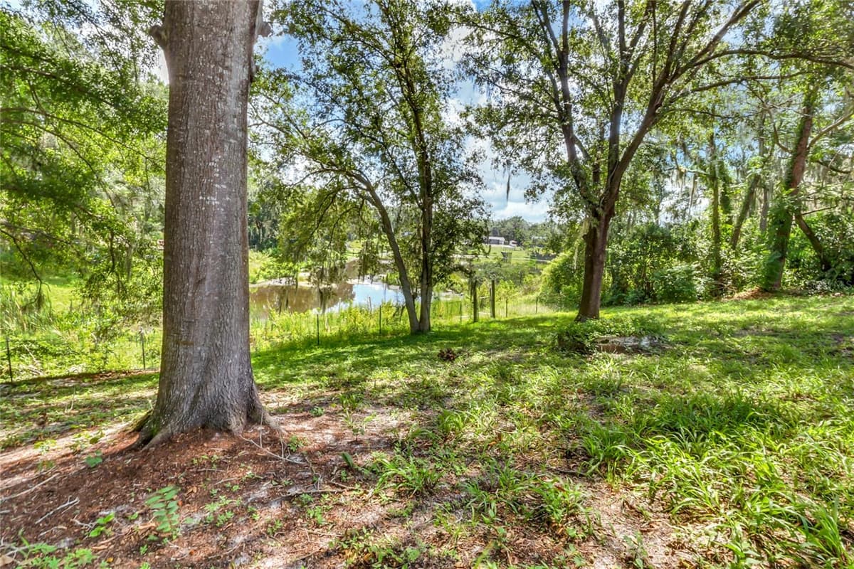 16123 LAKE BURRELL DRIVE — photo 50 of 53