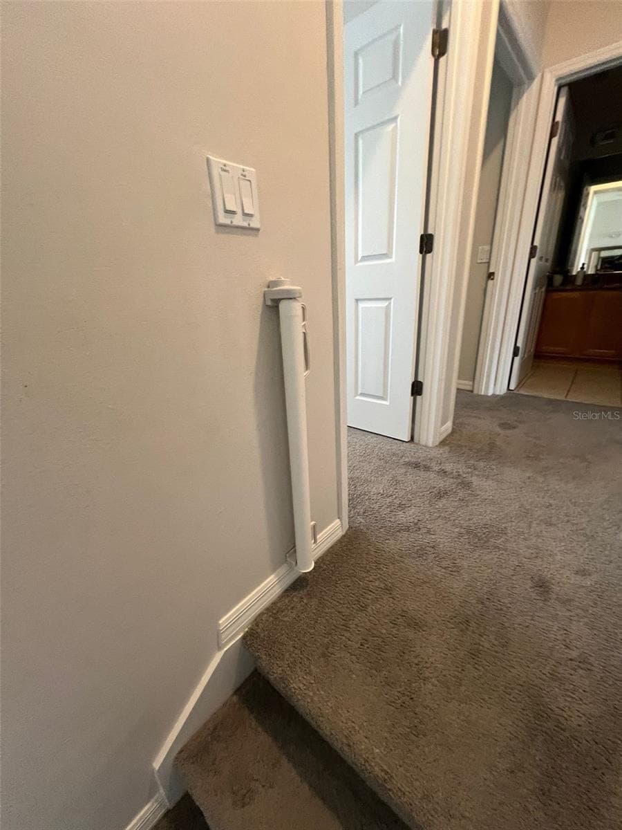 8563 BAY LILLY LOOP — photo 23 of 31