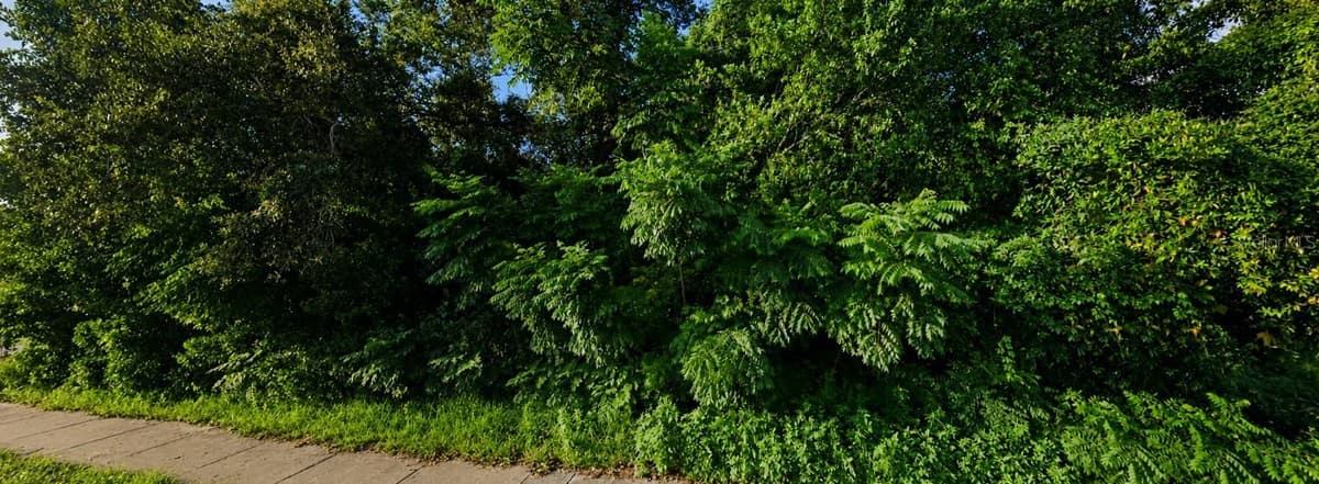 SPRING HILL DR DRIVE — photo 2 of 3
