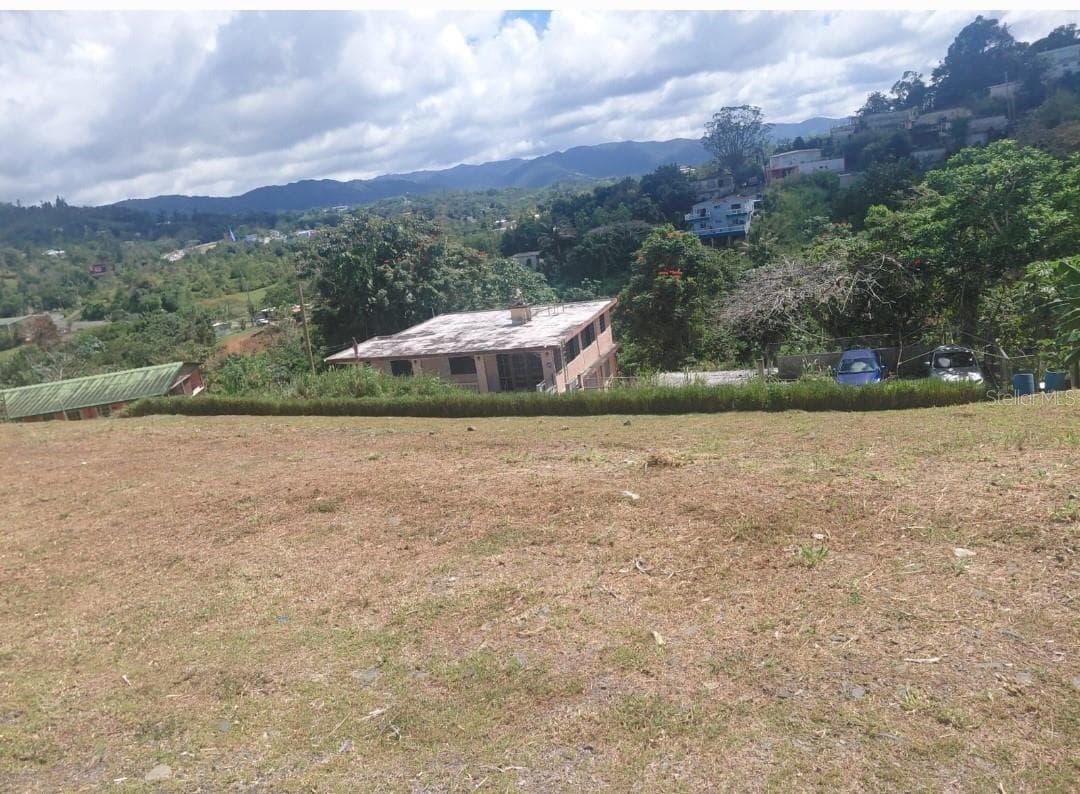 PR 1 Km 48.1 BO BEATRIZ — photo 1 of 1