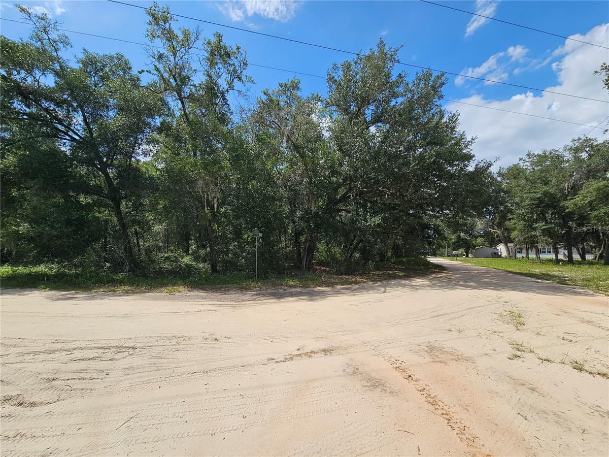 SE 171ST LANE — photo 3 of 5