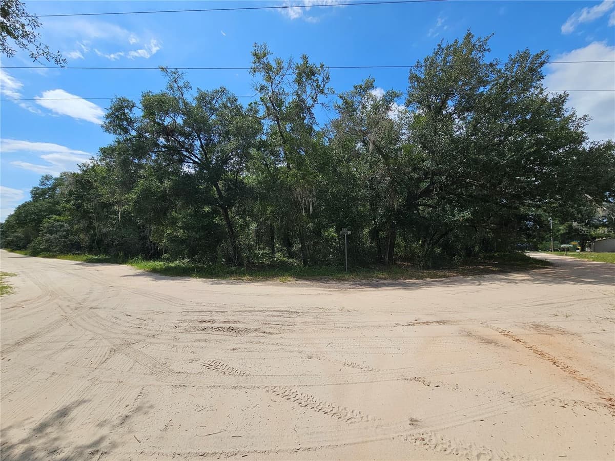 SE 171ST LANE — photo 4 of 5