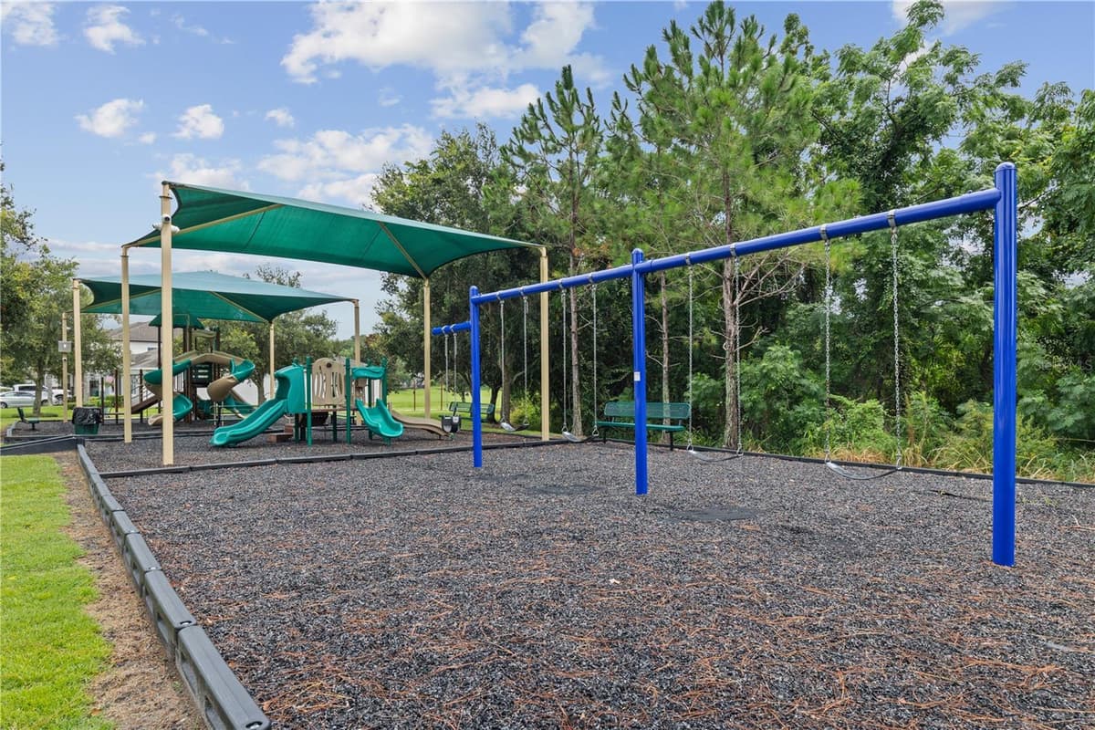 14343 BLACK LAKE PRESERVE STREET — photo 43 of 44