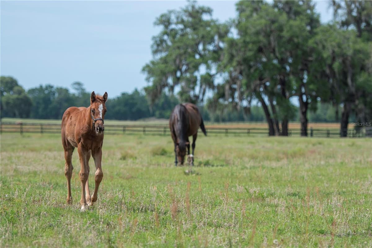 TBD (Lot 14-W) 138TH LOOP — photo 24 of 30