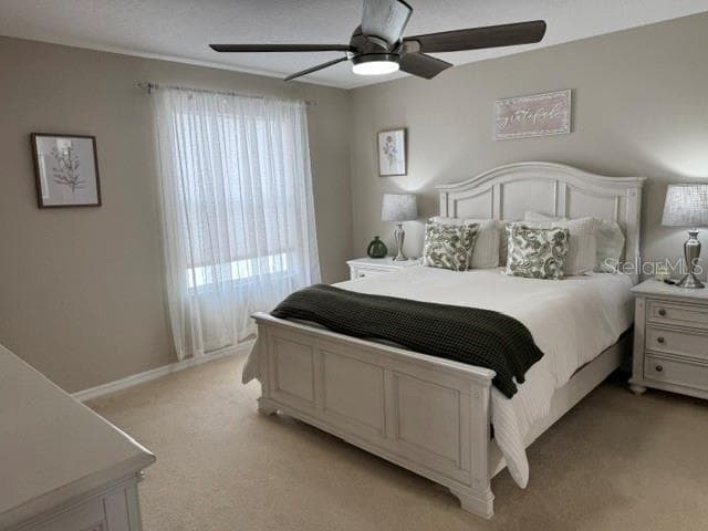 7618 171ST SUN VALLEY PLACE — photo 22 of 35