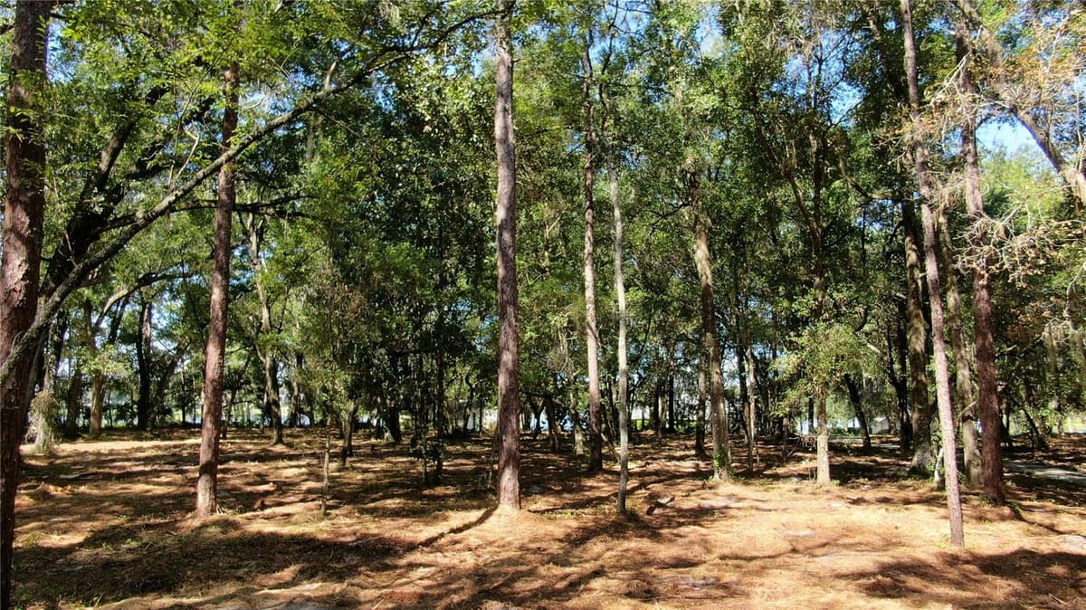 LAKE MARKHAM ROAD — photo 4 of 5