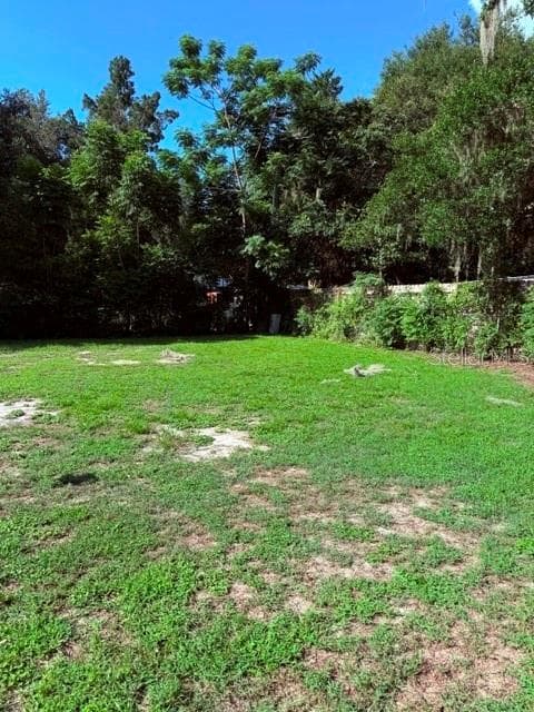 2312 BUTLER STREET — photo 17 of 20