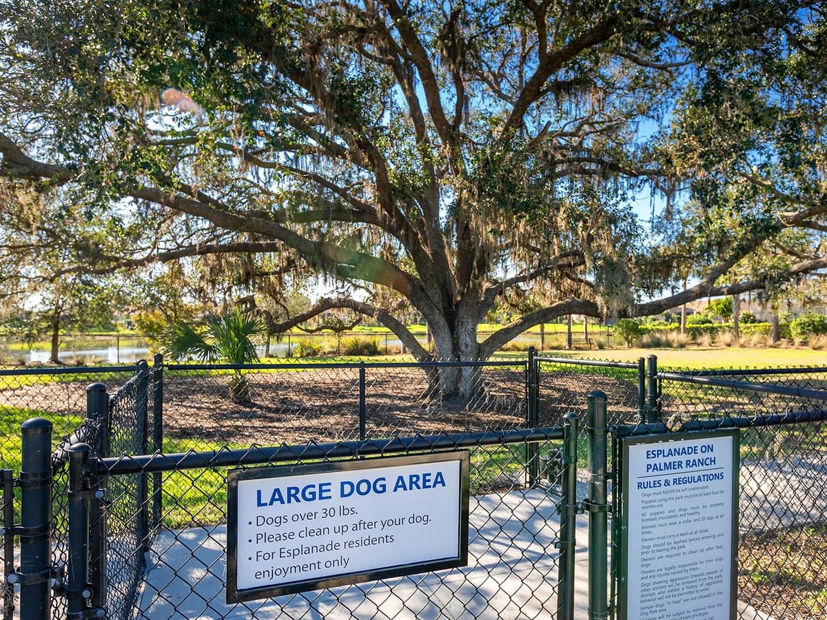 5365 SALCANO STREET — photo 43 of 46