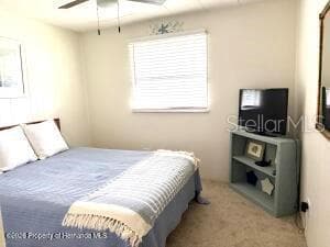 7391 HARLOW STREET — photo 16 of 32
