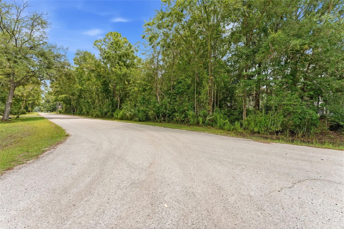 RAVEN BROOK ROAD — photo 4 of 9