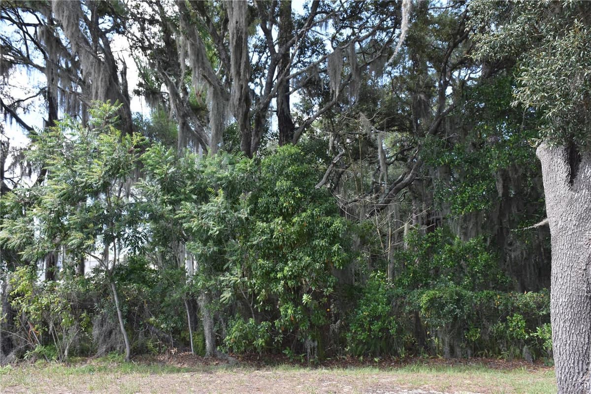 31328 SAND LAKE DRIVE — photo 11 of 11
